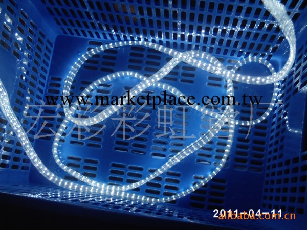 LED扁四線彩虹管（白光/36燈）工廠,批發,進口,代購