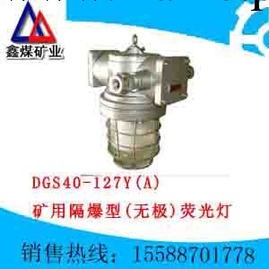 DGS40/127Y（A)礦用隔爆型無極熒光燈工廠,批發,進口,代購
