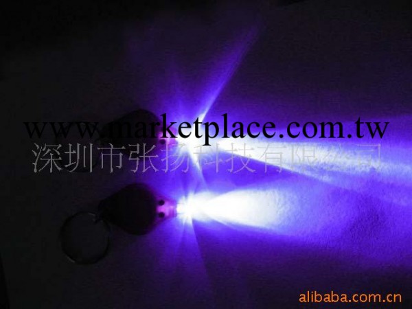 LED環保PP紫光UV395-400NM驗鈔燈 驗鈔鑰匙扣燈工廠,批發,進口,代購