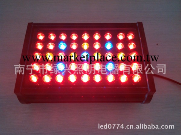 45W LED 植物燈 紅藍 防水植物燈 投光燈 IP65 led 水族燈批發・進口・工廠・代買・代購