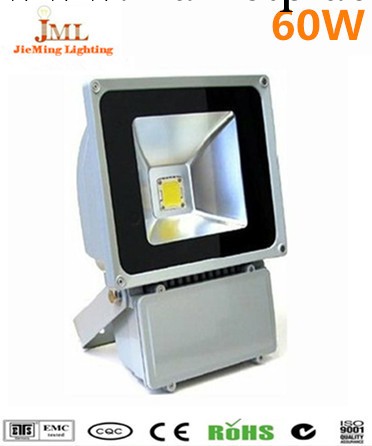 LED投光燈室外燈具歐式傢裝景觀帶光源 60W工廠,批發,進口,代購
