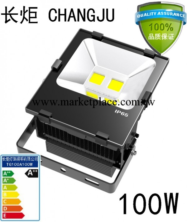 【長炬照明】100W LED投光燈TG100A100W 草坪燈廣告燈led戶外照明批發・進口・工廠・代買・代購