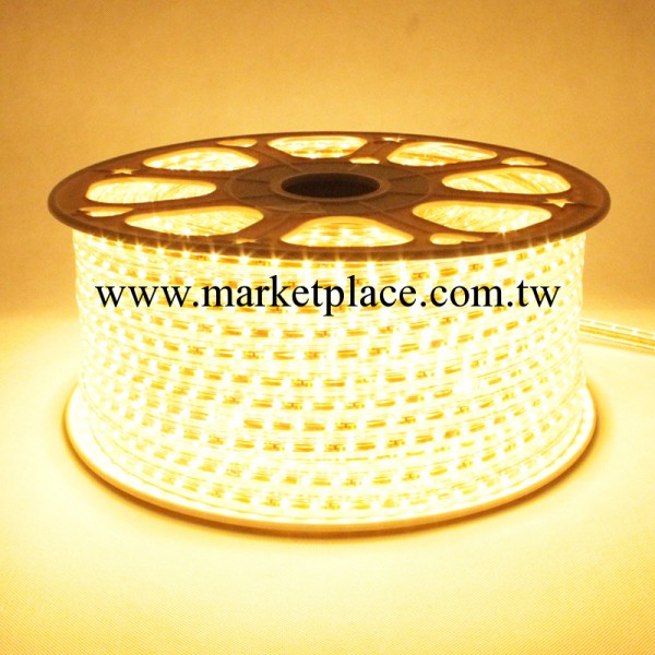 中山豪諾 現貨銷售 LED霓虹柔性5050燈帶 燈條工廠,批發,進口,代購