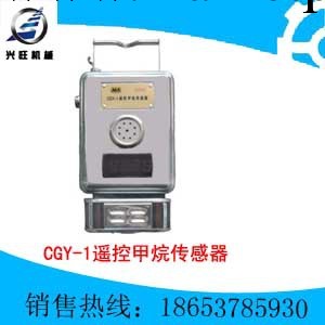 CGY-1遙控甲烷傳感器工廠,批發,進口,代購