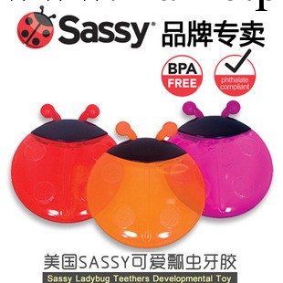 美國SASSY瓢蟲冰凍牙膠固齒器不含BPA兩個裝工廠,批發,進口,代購