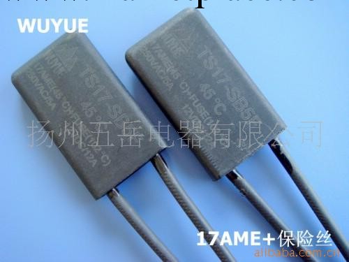 供應17AME+保險絲二合一保護器工廠,批發,進口,代購