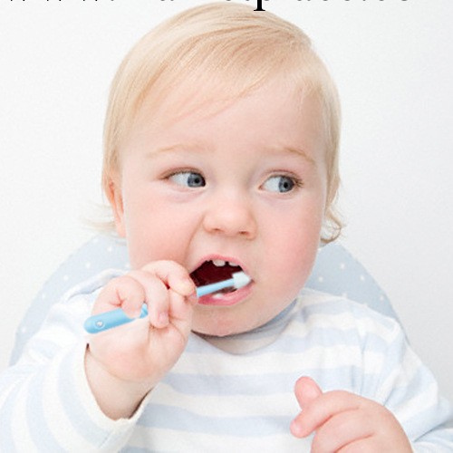 美國MDB奇妙牙刷360度嬰兒牙刷訓練牙刷乳牙刷日本制造蒲公英牙刷批發・進口・工廠・代買・代購