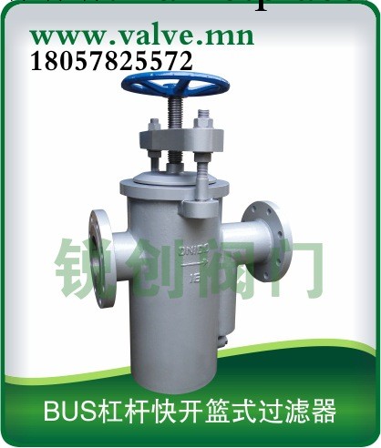 BUS杠桿快開籃式過濾器批發・進口・工廠・代買・代購