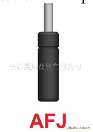 供應西班牙AZOL-GAS氮氣彈簧AFJ系列工廠,批發,進口,代購