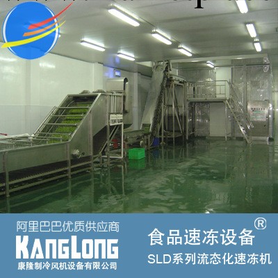 SLD流態化速凍機，速凍黃桃瓣，黃桃瓣速凍機工廠,批發,進口,代購