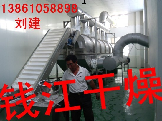 常州錢江供應：0.6×7.5型ZLG系列直線振動流化床乾燥機工廠,批發,進口,代購