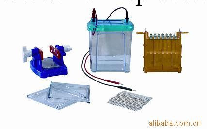 供應DYCZ-26B一體式雙向電泳機工廠,批發,進口,代購