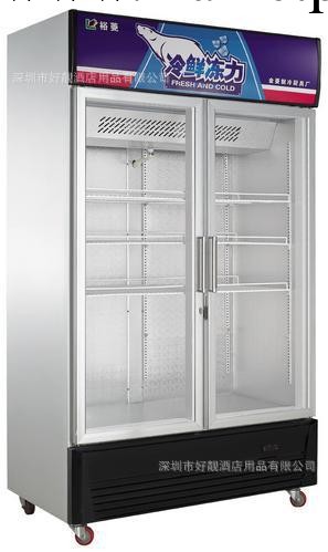 金菱風冷玻璃門保鮮雙門展示櫃 制冷設備 保鮮冷藏設備 廚房設備工廠,批發,進口,代購