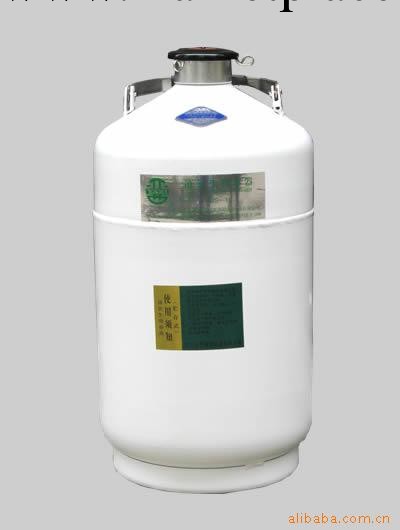 供應液氮罐運輸貯存兩用系列:YDS-10B工廠,批發,進口,代購