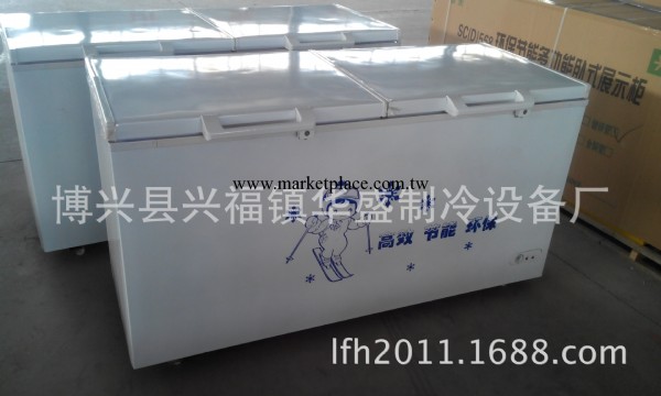 供應優質760L冰櫃 臥式冰櫃 商用冰櫃，大型冰櫃工廠,批發,進口,代購