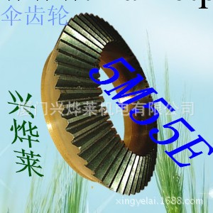 大量供應傳動斜齒輪  非標定制 20cr材質 滲碳處理 交期快質量好工廠,批發,進口,代購