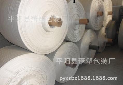 廠傢直銷 可定制 各種規格PP白色編織袋 蛇皮袋批發・進口・工廠・代買・代購