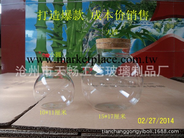 玻璃罐玻璃密封罐玻璃儲物罐微景觀玻璃生態瓶 打造爆款 多款可選批發・進口・工廠・代買・代購