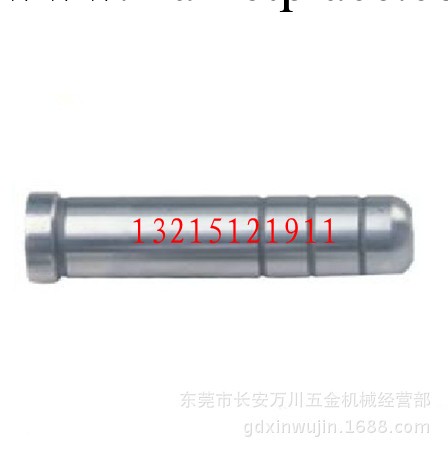 供應模具五金配件 導珠訂做非標導拄 18*200L工廠,批發,進口,代購