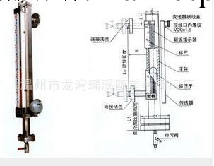 本公司專業加工定制    磁性浮子液位計工廠,批發,進口,代購