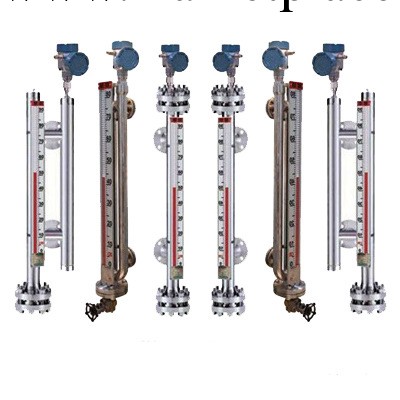 磁翻板防腐液位計工廠,批發,進口,代購