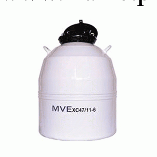 MVE XC47/11-6SQ型號液氮罐工廠,批發,進口,代購