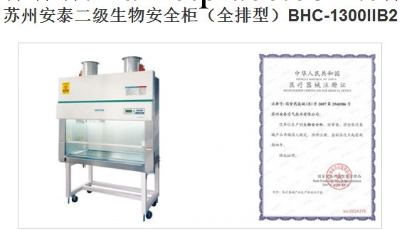 蘇州安泰二級生物安全櫃（全排型）BHC-1300IIB2工廠,批發,進口,代購