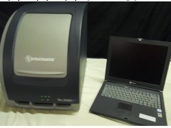 Stratagene Mx3005P 定量PCR機工廠,批發,進口,代購