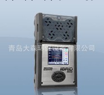 MX6氣體檢測機，多氣體檢測機，英思科機器，便攜式機器價格工廠,批發,進口,代購