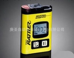 上海英思科T40硫化氫檢測機（0-1000） 氣體檢測機工廠,批發,進口,代購