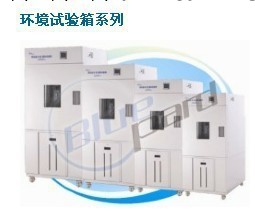 上海一恒 BPHS-500C 高低溫濕熱試驗箱工廠,批發,進口,代購