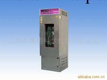 供應YW250藥物穩定性試驗箱  上海實驗廠數顯穩定性試驗箱工廠,批發,進口,代購