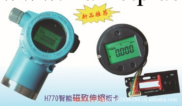 H770 磁致伸縮液位計模塊工廠,批發,進口,代購