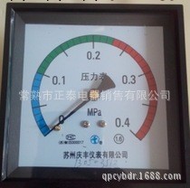 大連貝斯特滅菌爐壓力表,蘇州慶豐方形壓力表Y100ZT-F:96*96工廠,批發,進口,代購