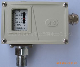 專業廠傢制造水壓力控制器（來電咨詢更優惠）工廠,批發,進口,代購