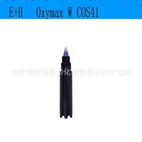 E+H COS41 溶解氧傳感器工廠,批發,進口,代購