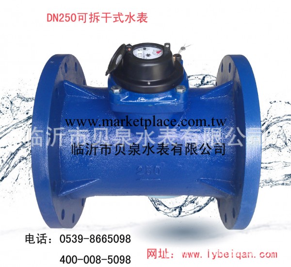 大口徑DN80-DN300可拆乾式水表 水表批發・進口・工廠・代買・代購