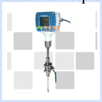 插入式質量流量計，質量流量計，插入式數顯流量計，插入式流量計工廠,批發,進口,代購