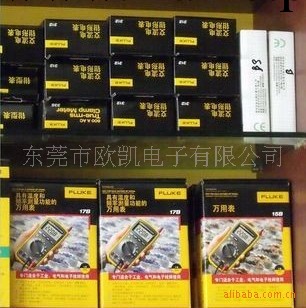 供應美國福祿克FLUCK數字萬用表F15B   F17B 萬用表工廠,批發,進口,代購