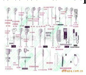 德國 JUMO（久茂） 溫度傳感器（訂制）工廠,批發,進口,代購