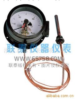 WTZ-288壓力式電接點溫度計 聯泰 chinl工廠,批發,進口,代購