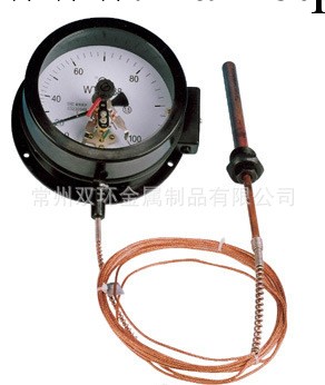 供應WTZ280壓力式電接點溫度計，壓力式溫度計，溫度計工廠,批發,進口,代購