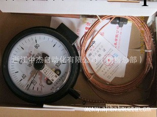 【紅旗精品】WSSX-411電接點型雙金屬溫度計 0-150℃工廠,批發,進口,代購