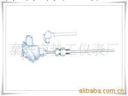 WRP系列鉑銠熱電偶工廠,批發,進口,代購