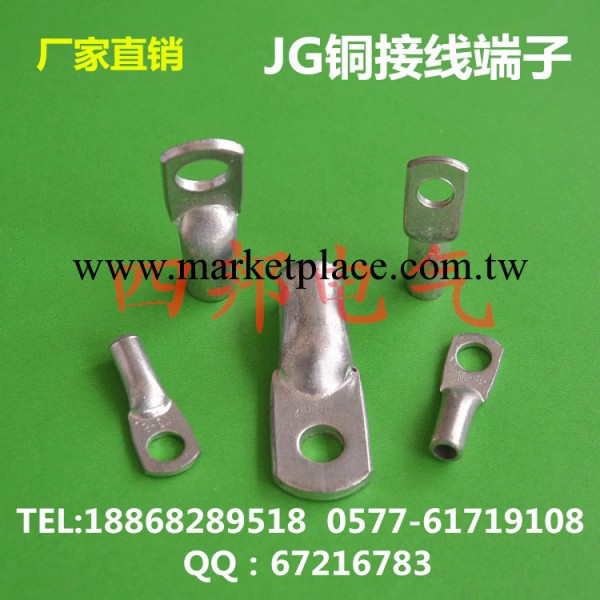 廠傢供應JG25-12銅接線鼻子 管式銅接線端子工廠,批發,進口,代購