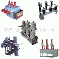 ZW32-12 ZW32-12G  高壓真空斷路器工廠,批發,進口,代購