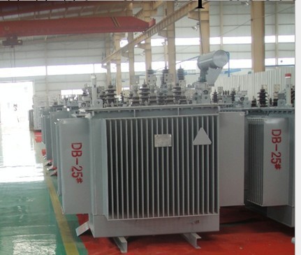 上海贛興供應10kva/0.4v油浸式變壓器SII-315KVA工廠,批發,進口,代購