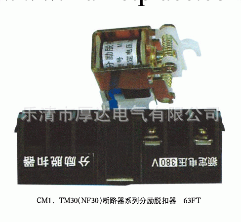 廠傢直銷CDM1（NM1)-100分勵脫扣器工廠,批發,進口,代購