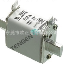 廠傢直銷【天正】NGT-C00（RS31）快速熔斷器 低壓熔斷器工廠,批發,進口,代購