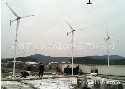 20KW發電機組-風力發電機組-太發新能源科技工廠,批發,進口,代購